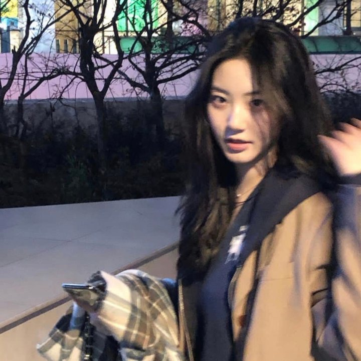 超级无敌掌门狗：企鹅的复仇