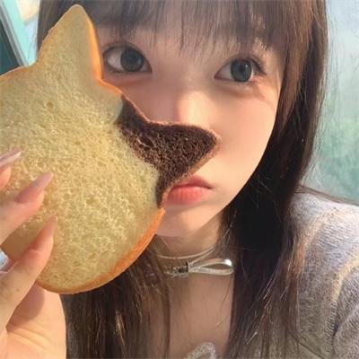 天才宝弟的狗日子